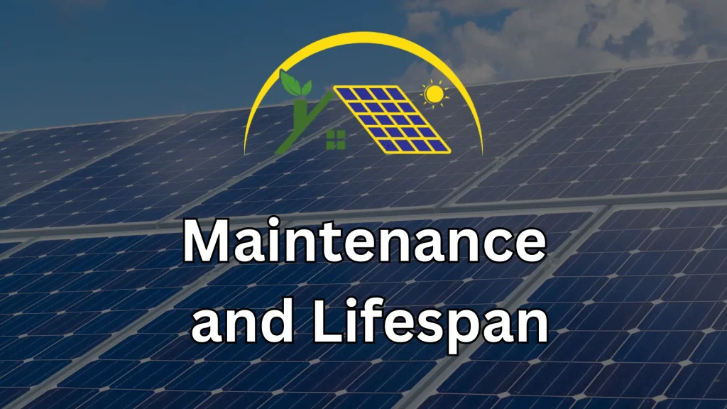 Maintenance and Lifespan